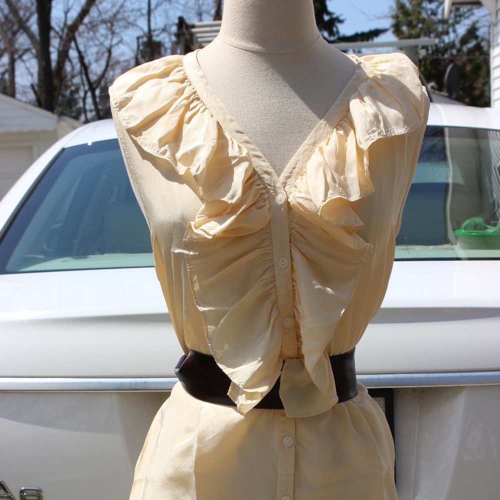 100% Silk Poet's Blouse